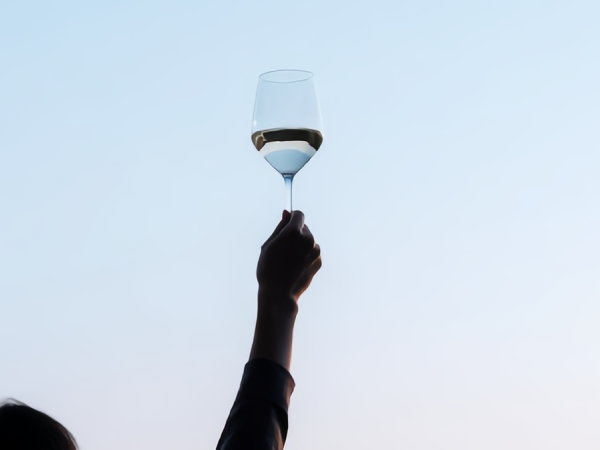 Red or White Wine Glass 2 Pcs, Crystal Wine Glasses,360 ml,Crtsyal Party Glasses - (Set of 2)