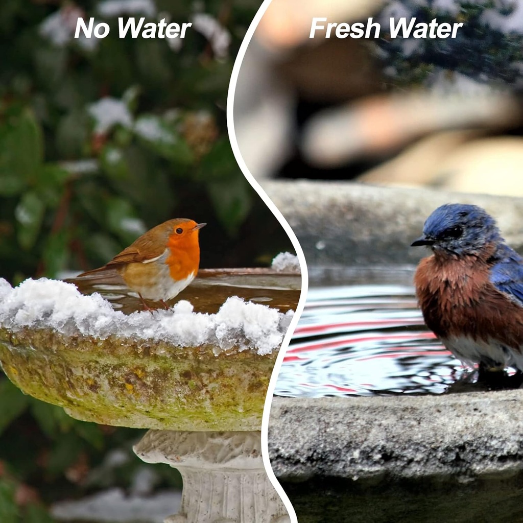 2024-upgrade-bird-bath-heater-deicer-bir-3.jpg