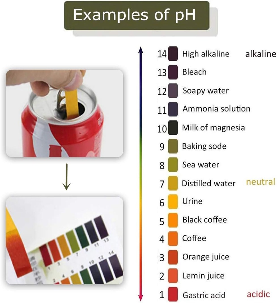 3-pack-ph1-14-test-paper-extensive-test--6.jpg