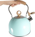 pretyzoom-stainless-steel-kettle-electri-6.jpg