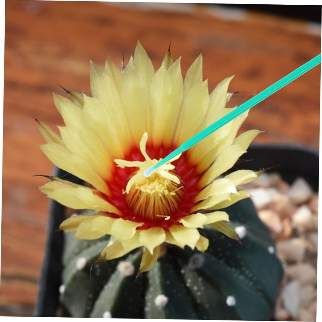 milisten-100pcs-manual-pollinating-tool--2.jpg