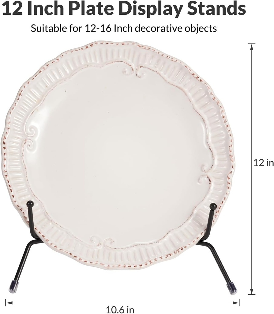 2-pack-12-inch-black-iron-plate-display--3.jpg