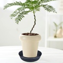 25-inch-extra-large-planter-saucer-extra-4.jpg