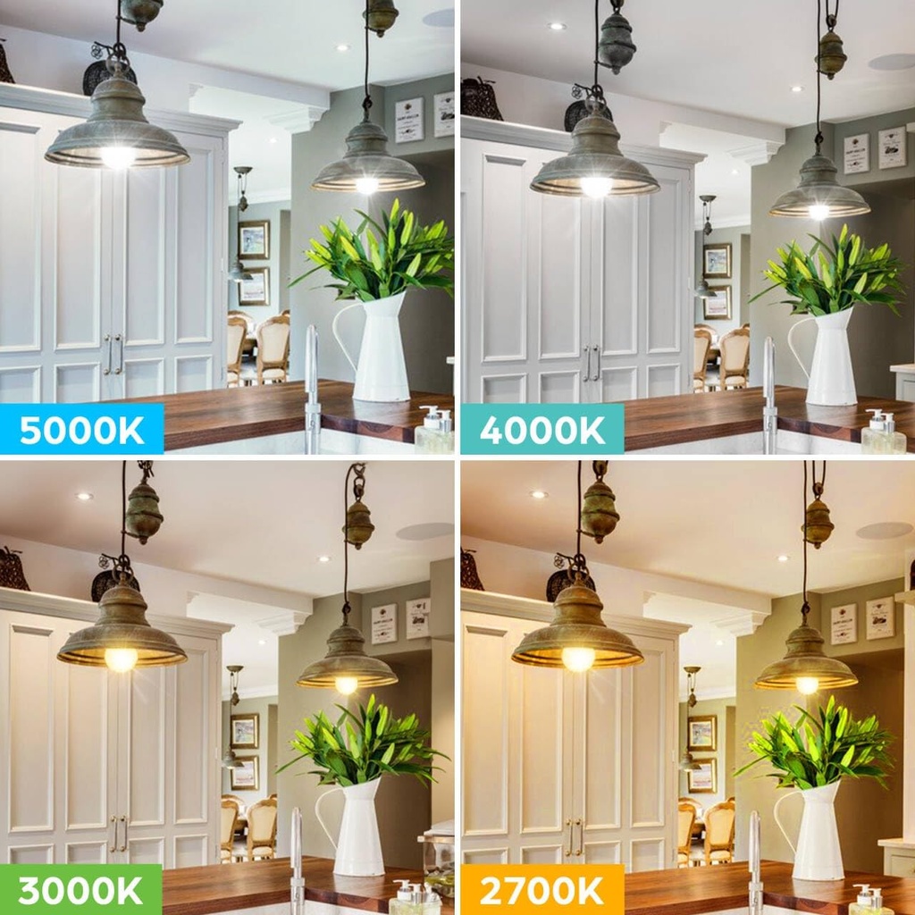 led-light-bulbs-100w-equivalent-1500-lum-3.jpg