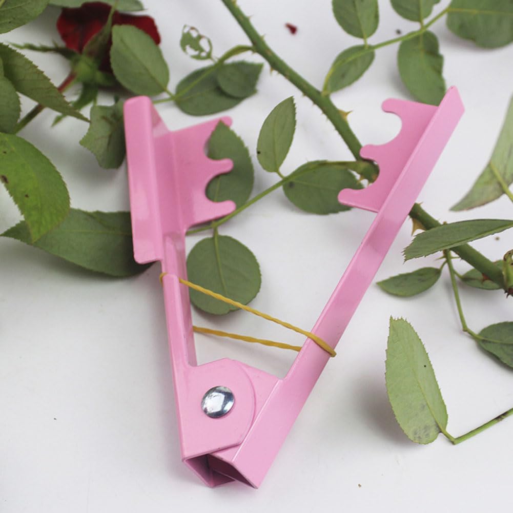 ruian-1-set-rose-stem-leaf-thorn-strippe-2.jpg