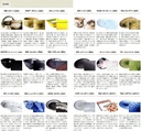 multi-use-bowl-mitsuwari-tokusa-transfor-4.jpg