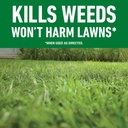 roundup-for-lawns1-ready-to-use-with-ext-4.jpg