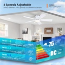 white-ceiling-fan-with-lights---52-flush-2.jpg
