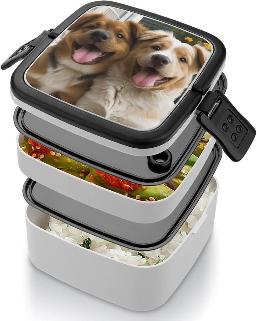 stackable-double-layer-bento-box-funny-d-4.jpg