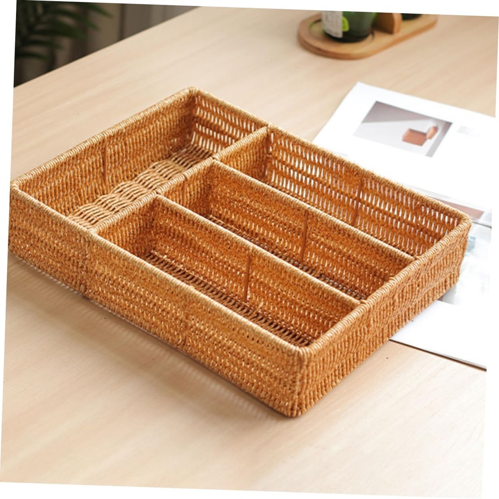 portable-divided-storage-tray-stylish-or-5.jpg