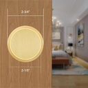 gold-dummy-door-knobs-interior--for-sati-3.jpg