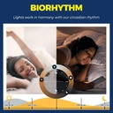 lightinginside-e12-smart-light-bulbs-60w-6.jpg