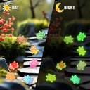 100-pcs-luminous-mini-resin-turtles-tiny-4.jpg