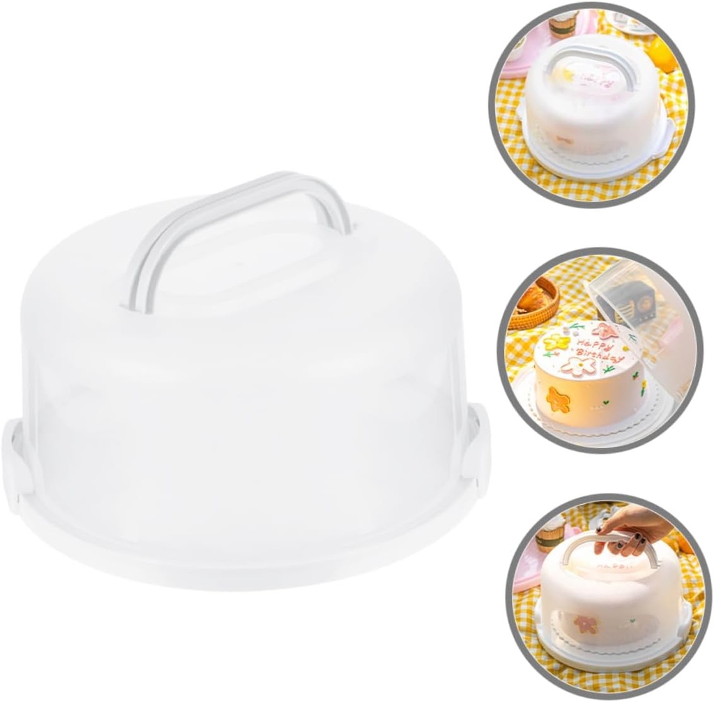 healifty-cake-box-decorative-cake-carrie-6.jpg