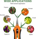 hand-pruner-pruning-sheargarden-clippers-5.jpg