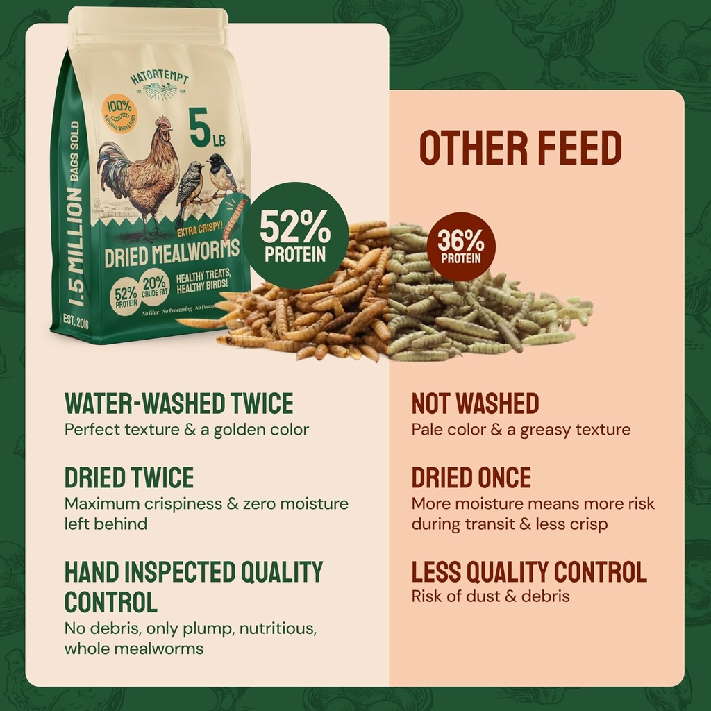 hatortempt-chicken-feed-dried-mealworms--4.jpg