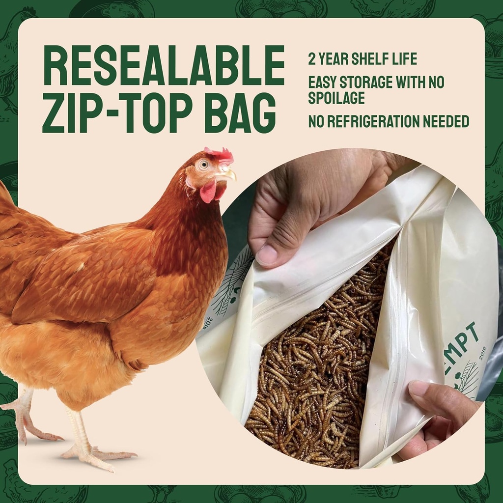 hatortempt-chicken-feed-dried-mealworms--6.jpg