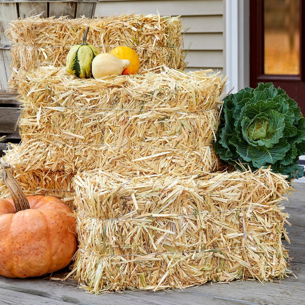 floracraft-decorative-straw-bale-8-inch--5.jpg