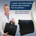 everlasting-comfort-lumbar-support-pillo-2.jpg