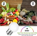 taysing-led-night-light-bulb-g14-light-b-4.jpg