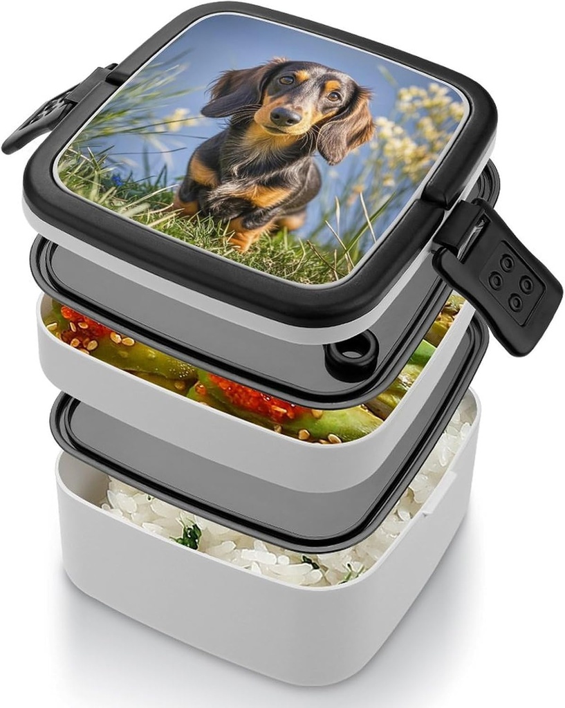 pad-dachshund-bento-box-double-layer-ben-5.jpg