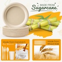 gezond-compostable-paper-plates---700pcs-3.jpg