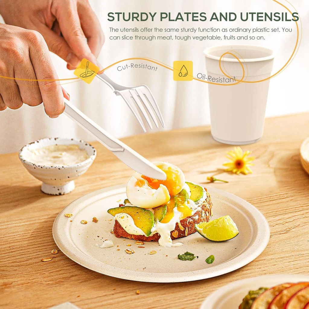 gezond-compostable-paper-plates---700pcs-4.jpg