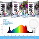 8-pack-g25-led-globe-light-bulbs-for-bat-6.jpg