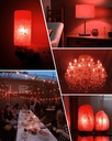 c7-red-replacement-light-bulbs-shatterpr-5.jpg