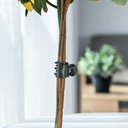 accencyc-100-pcs-plant-clips-orchid-clip-5.jpg