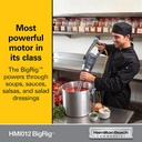 hamilton-beach-commercial-bigrigTM-immer-2.jpg