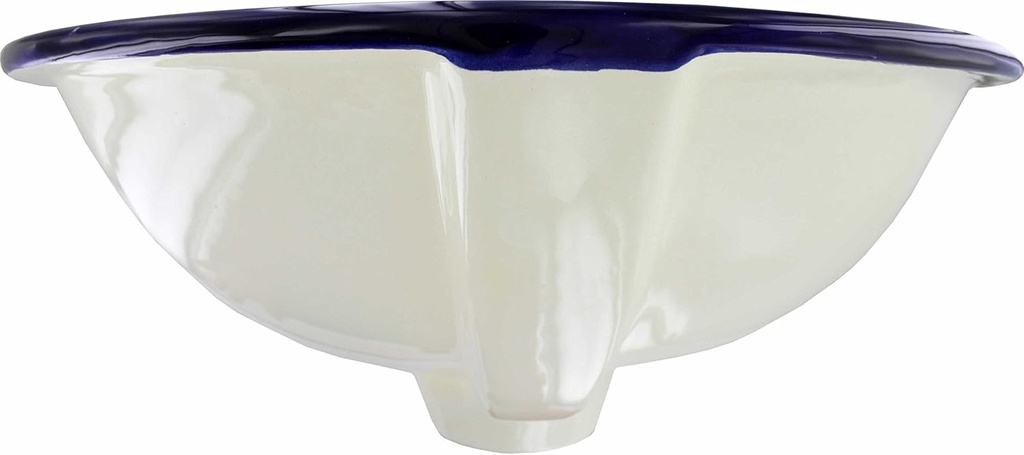14-x-17-talavera-mexican-ceramic-bathroo-2.jpg