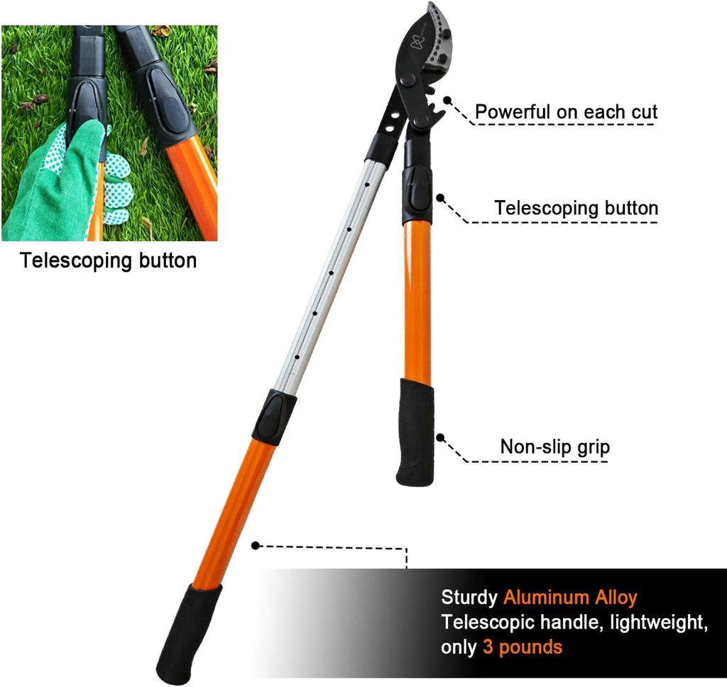 heavy-duty-tree-pruner-sync-drive-power--4.jpg