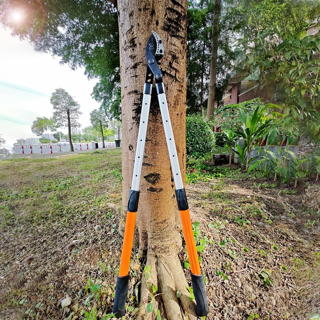 heavy-duty-tree-pruner-sync-drive-power--5.jpg