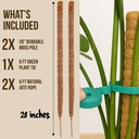 moss-pole-monstera-plant-support-2-pack--4.jpg