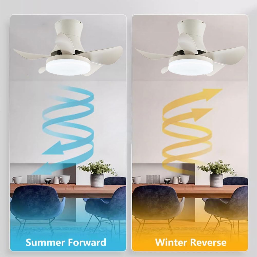 26-inch-small-ceiling-fan-with-lights-mo-3.jpg