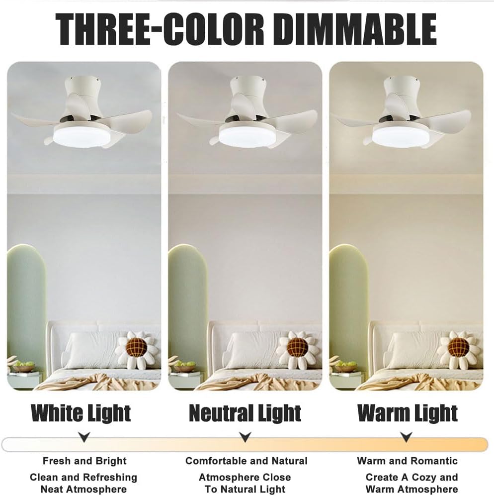26-inch-small-ceiling-fan-with-lights-mo-5.jpg
