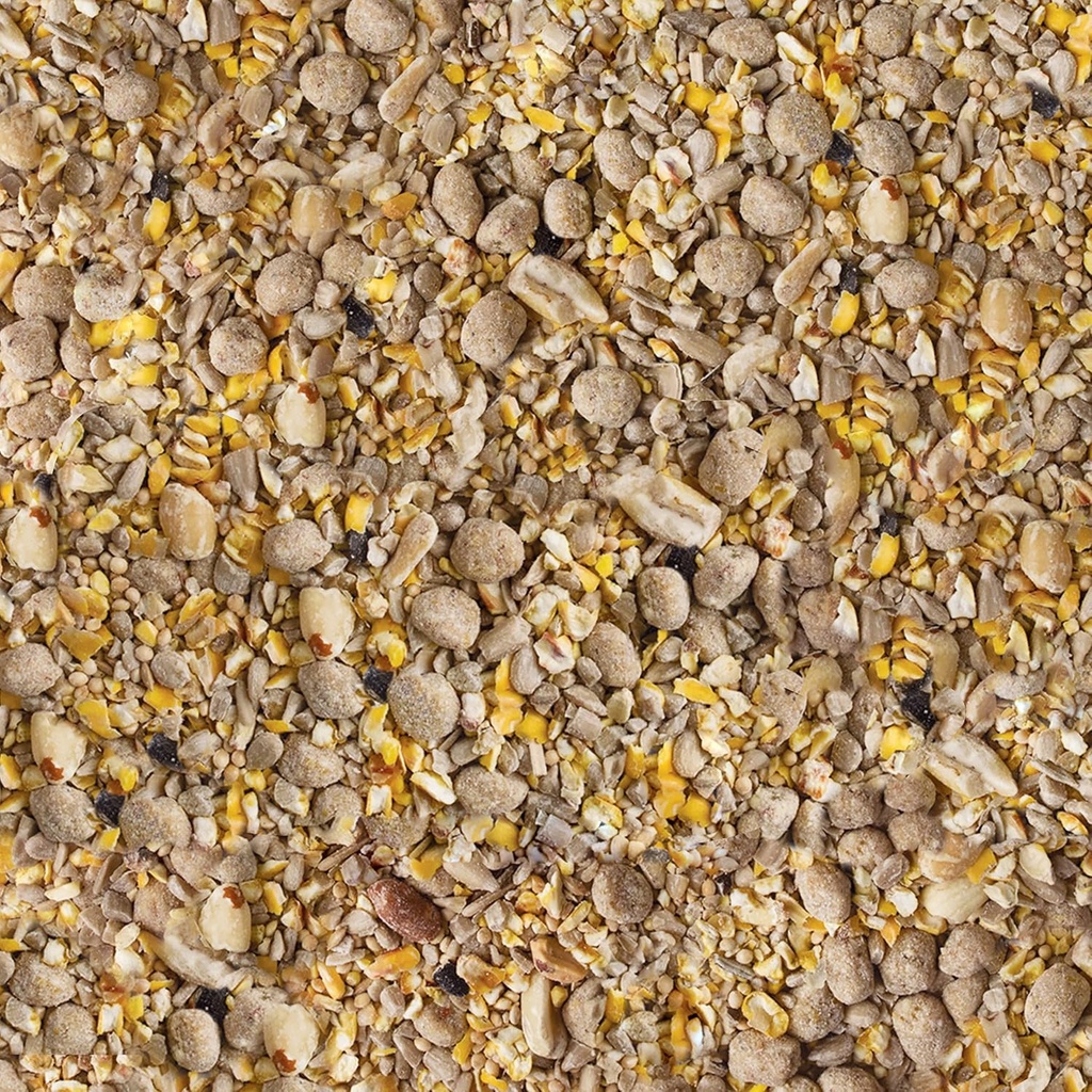 kaytee-seed-suet-no-mess-peanut-10-pound-4.jpg