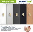 5-pack-solid-brass-cabinet-knobs-semicir-4.jpg