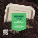 stack-man-100-compostable-clamshell-take-4.jpg