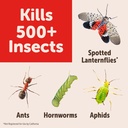 sevin-insect-killer-ready-to-spray-white-4.jpg