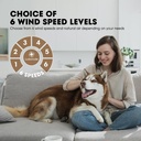 ceiling-fans-with-lights-44-low-profile--4.jpg