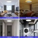 ocioc-18inch-flush-mount-ceiling-light-f-5.jpg