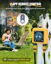 rainpoint-wifi-water-timer-with-brass-in-3.jpg