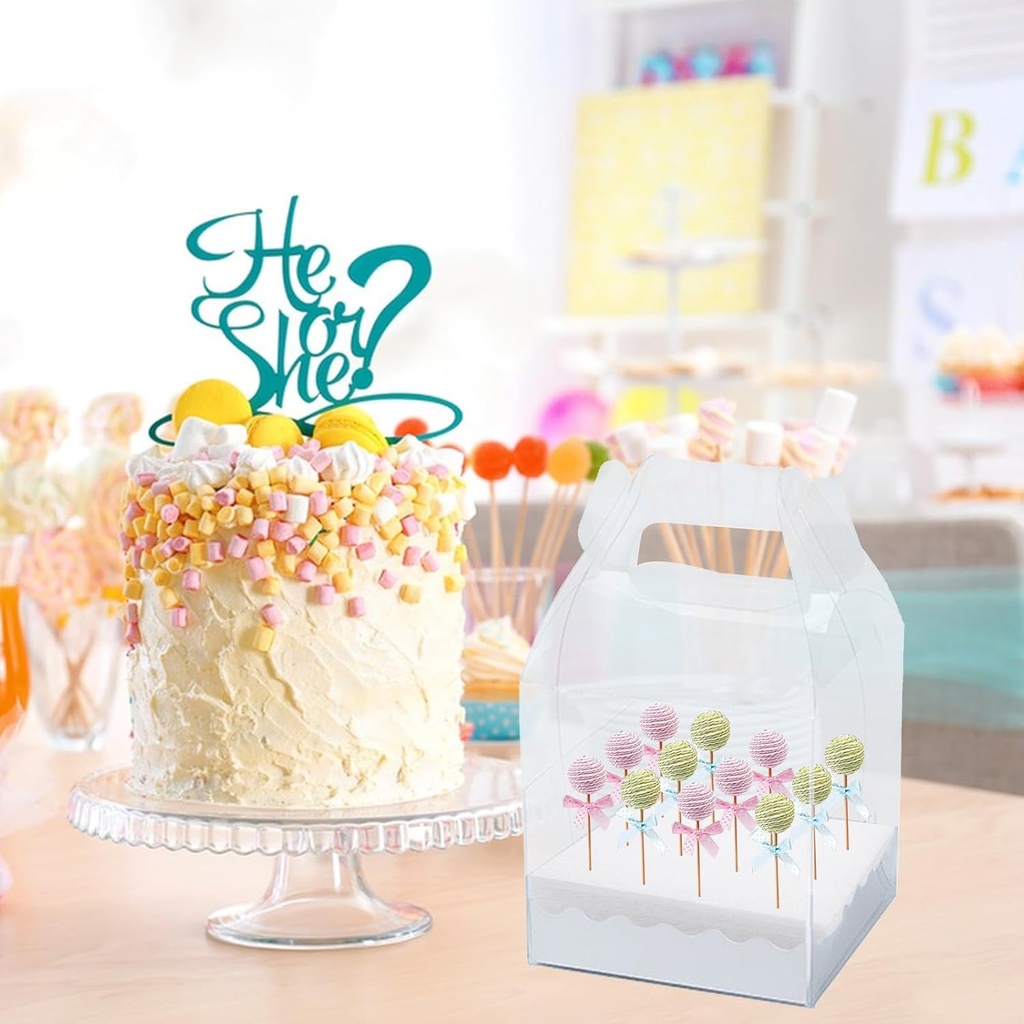 4-pcs-cake-pop-boxes-packaging-portable--5.jpg