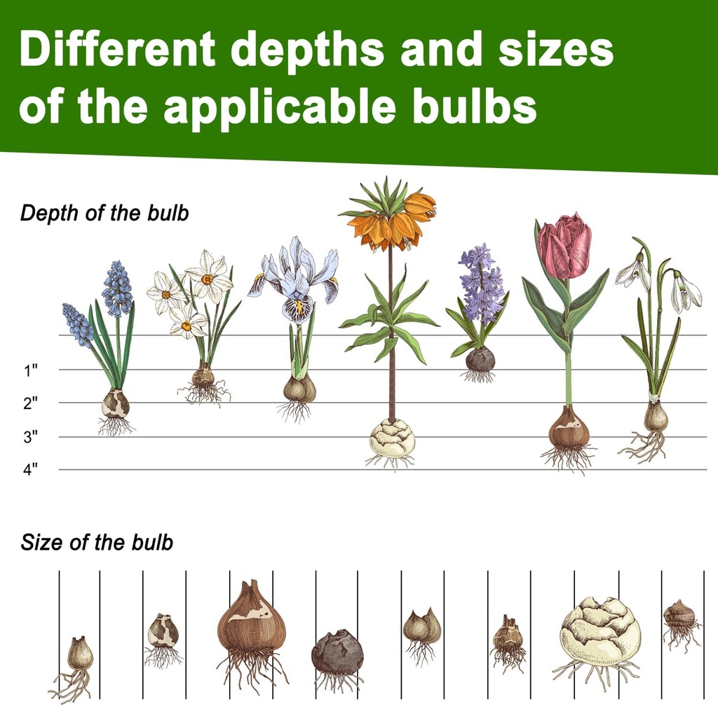 bulb-planter-tool-sod-plugger-with-long--3.jpg