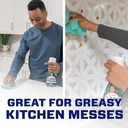 mr-clean-clean-freak-multi-surface-clean-4.jpg