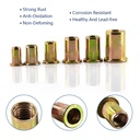 100pcs-14-20-rivet-nuts-carbon-steel-unc-3.jpg