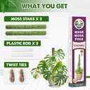 duspro-green-stackable-mesh-moss-pole-fo-6.jpg