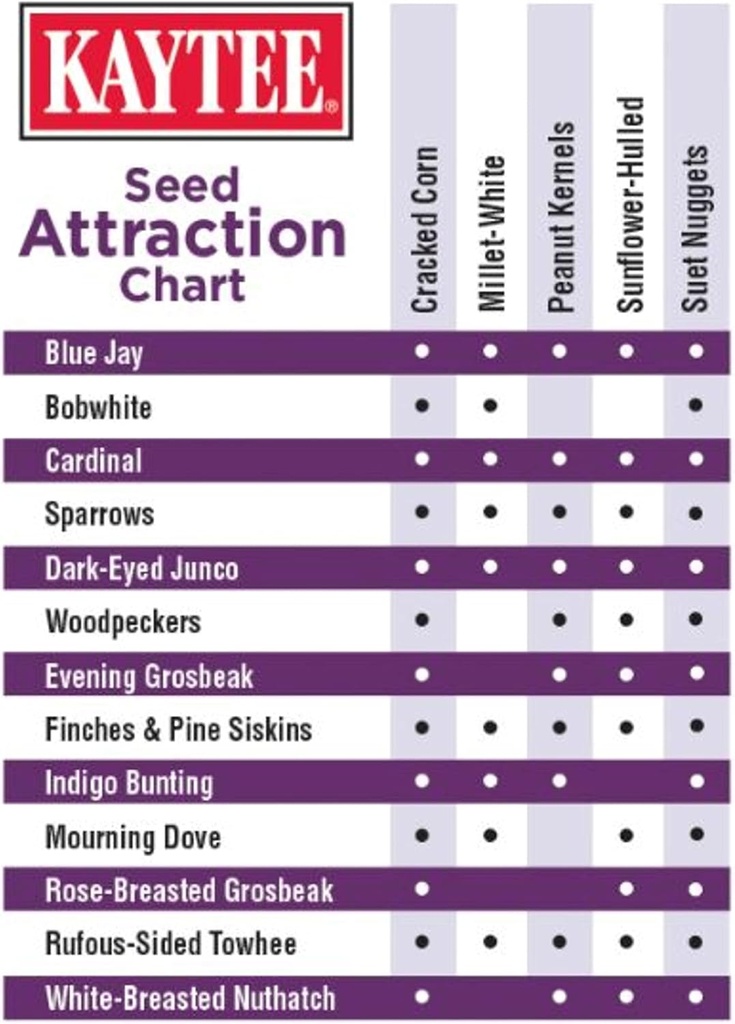 kaytee-seed-suet-no-mess-blend-blueberry-5.jpg
